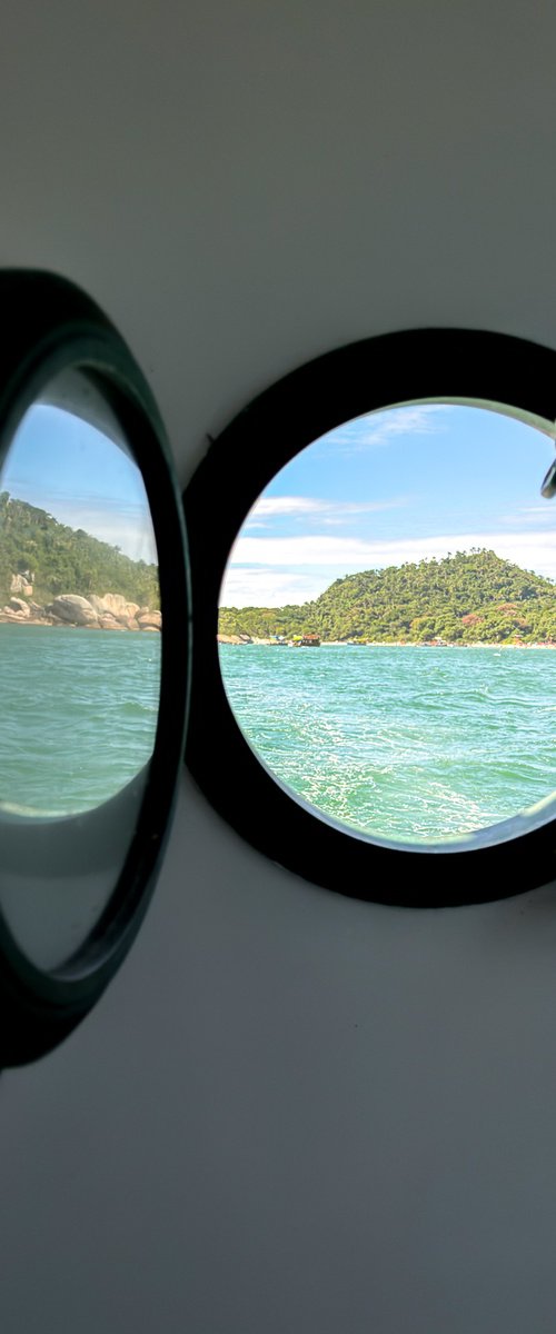 Tropical View by Gilliard Bressan
