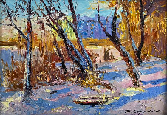 In the Winter Forest