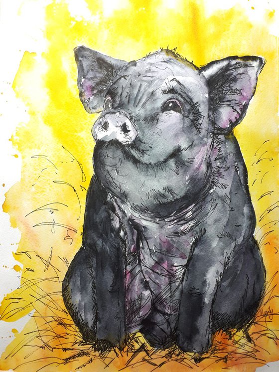 "Little black piggy"