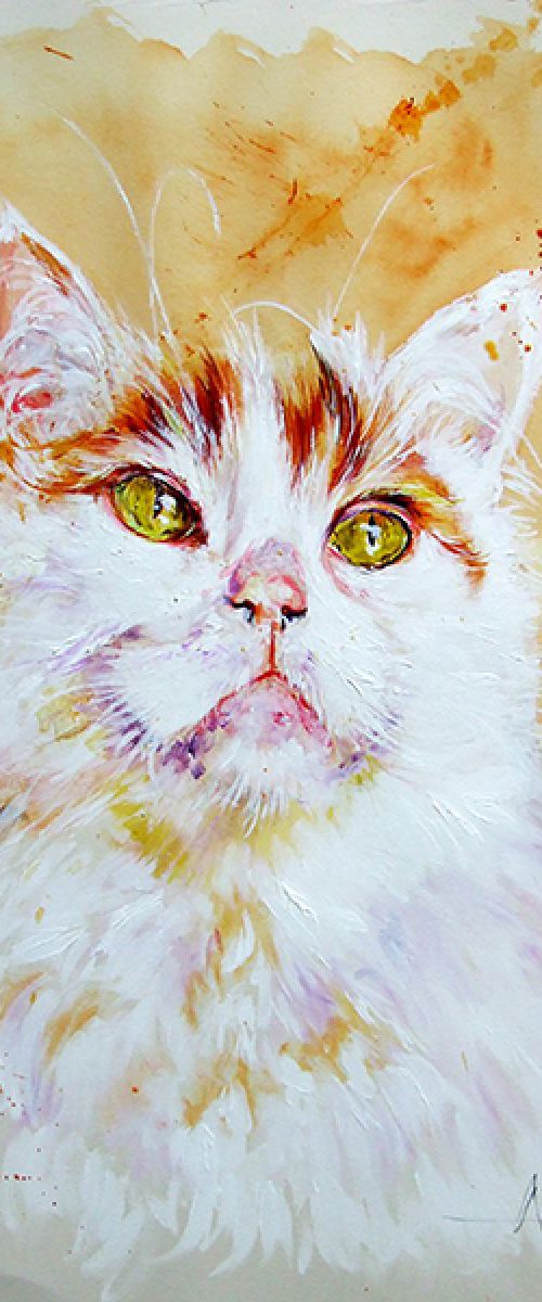 Turkish Van - Portrait of a Cat by Anna Sidi-Yacoub