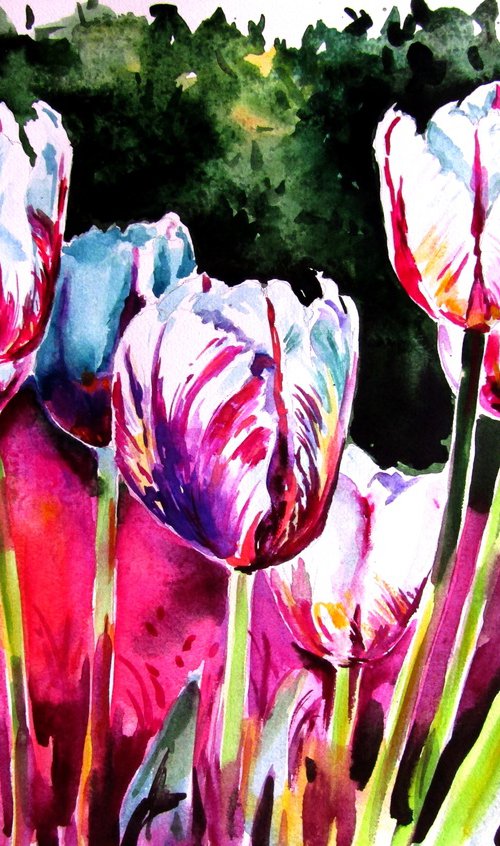 Tulips in the garden by Kovács Anna Brigitta