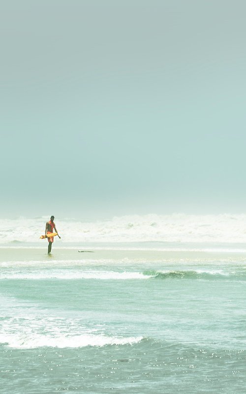 The Lifeguard by Adam Regan