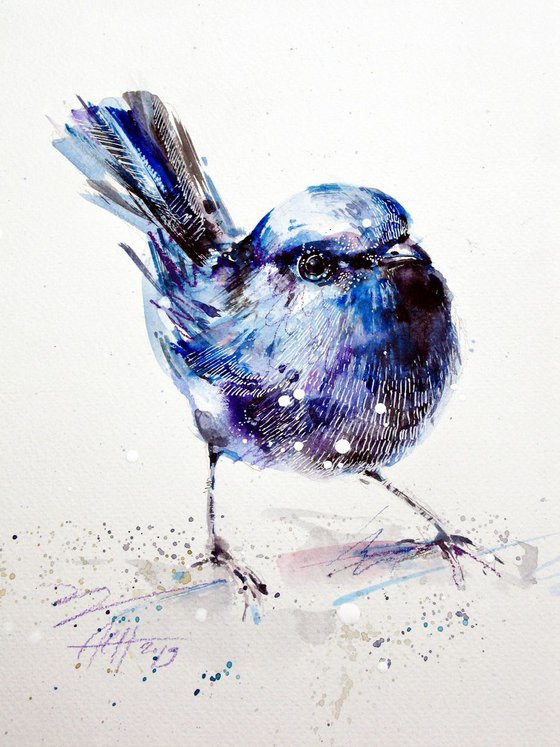 fairy wren illustration