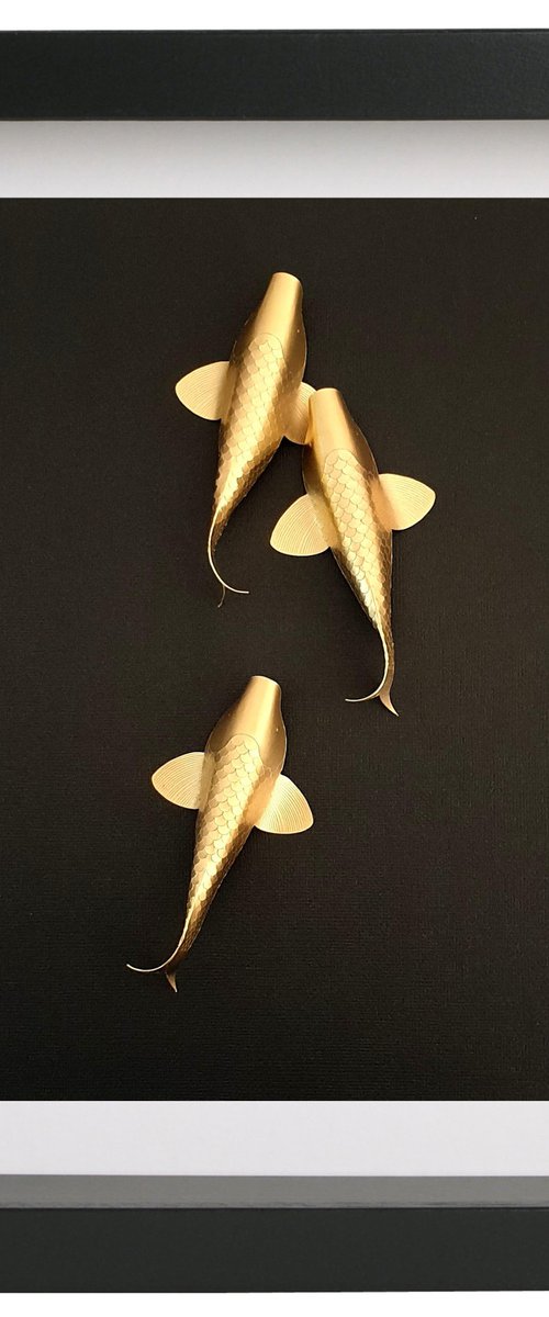 Curios Gold Koi by Daniel A du Preez