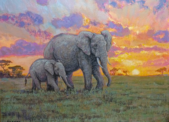 Elephants at sunset