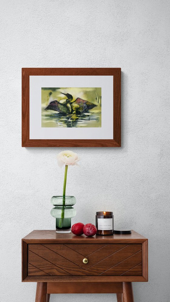 loon in lake
