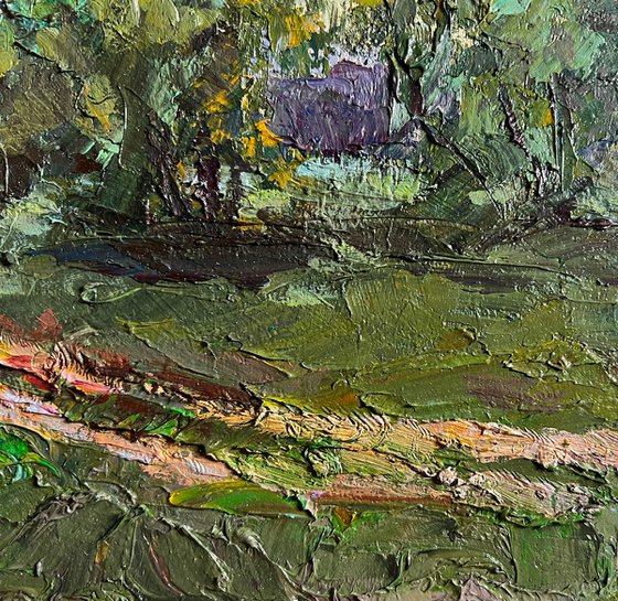 Along the Country Road