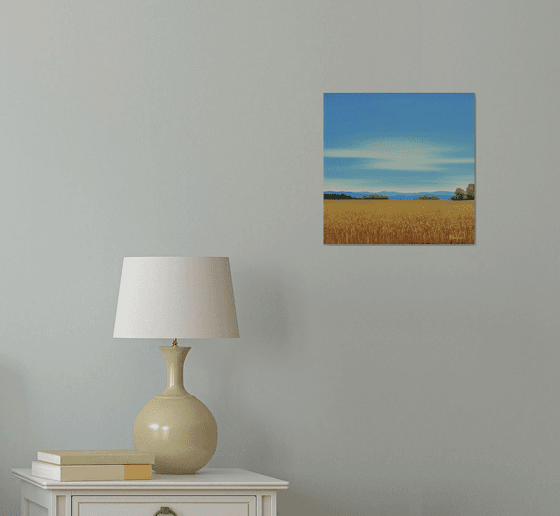 Summer Wheat Field - Blue Sky Landscape