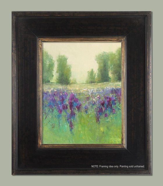 Purple Iris Flowers 43019