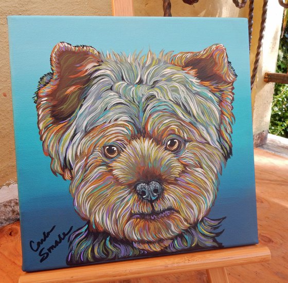 Yorkie Yorkshire Terrier Pet Dog Art  Rainbow Style Canvas- 10 x 10 inches -Carla Smale