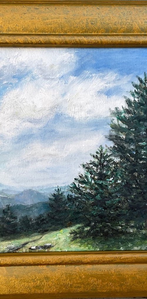 HILLTOP PINES by Kathleen McDermott