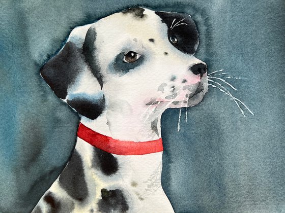 Portrait of a Dalmatian. Original watercolor artwork.