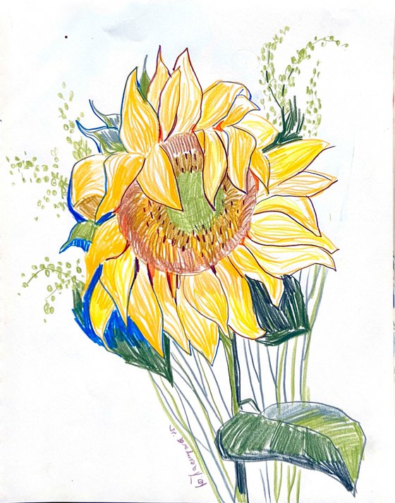 sunflower sketch
