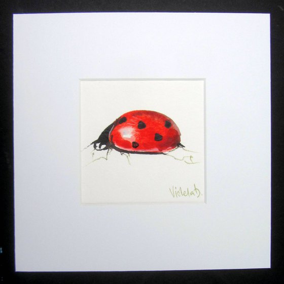 Ladybird #1