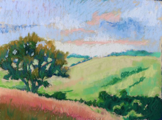 Trees Overlooking the Hope Valley
