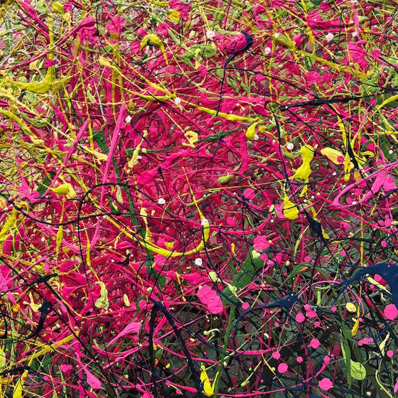 Dreaming Blooms