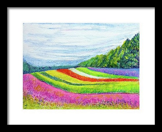 Vibrant summer flower beds