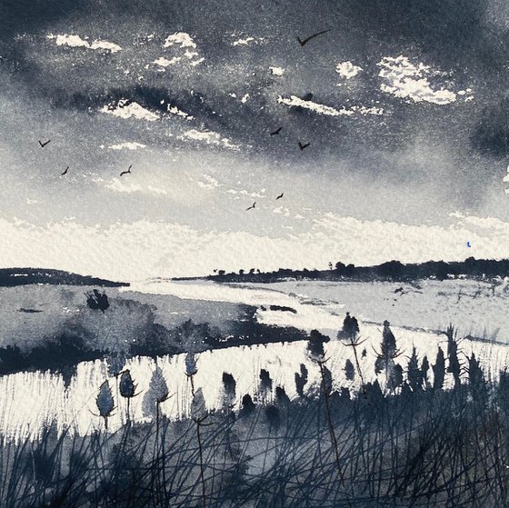 Monochrome - Teasels edge of Marshes