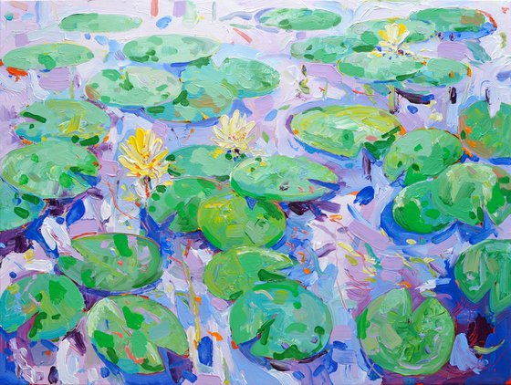 Tasman Lily Pond 22