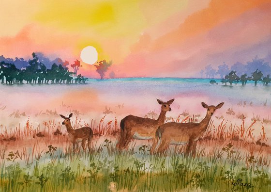 Deer at Dawn