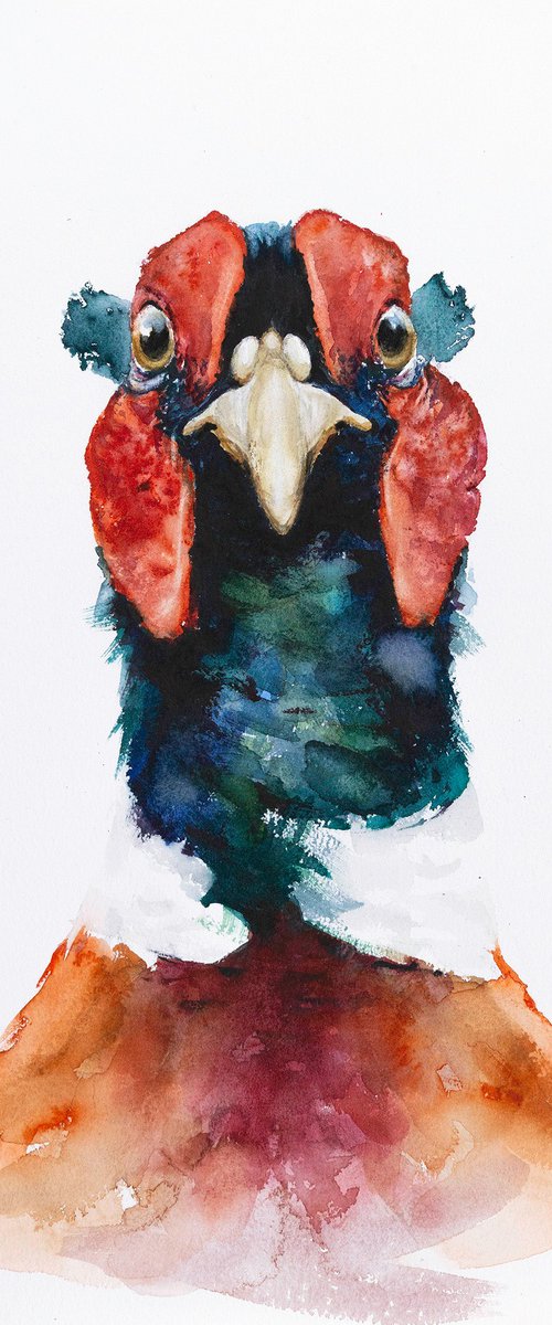 Pheasant portrait by Andrzej Rabiega