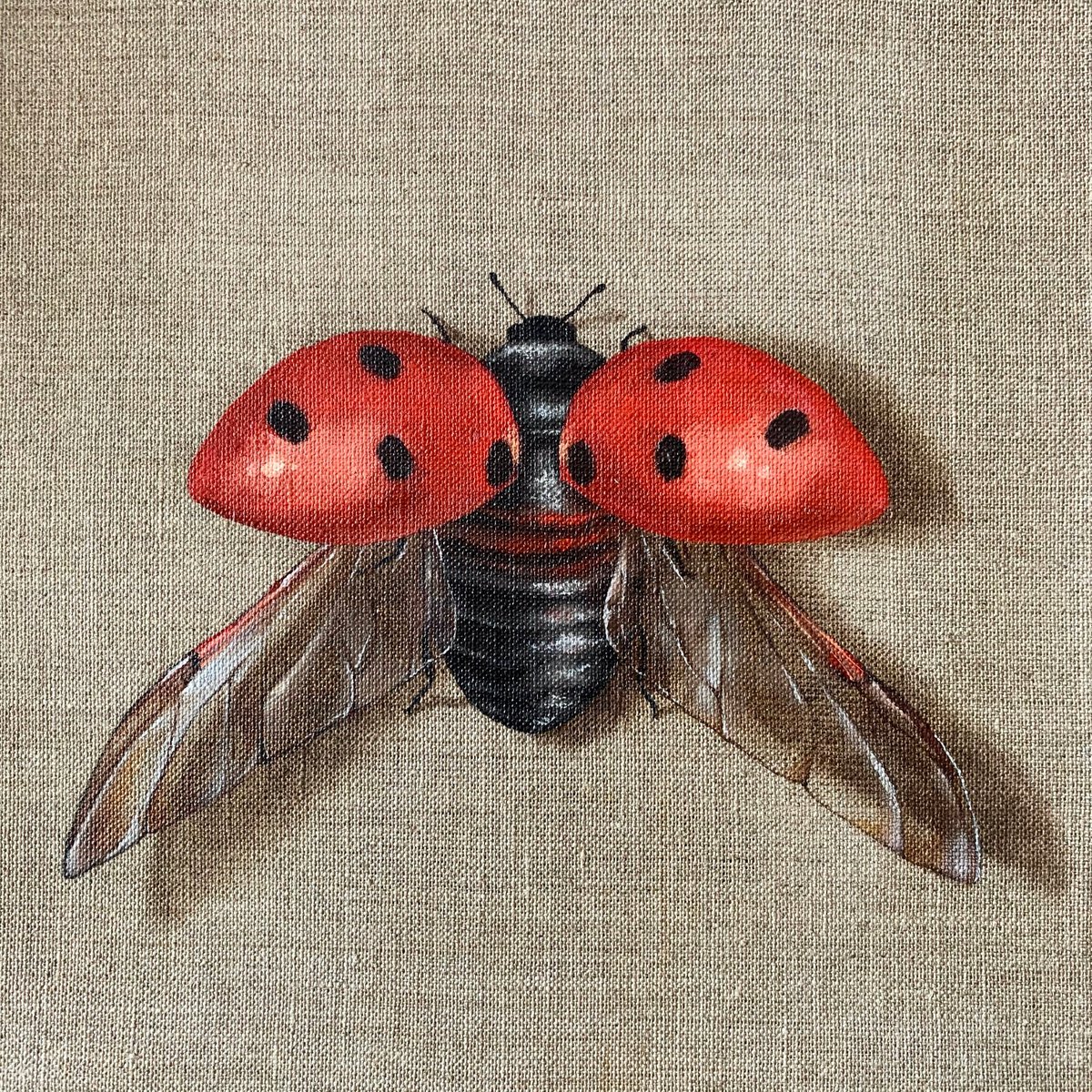 -Impermanent life-? #3 Ladybug by Alina Marsovna