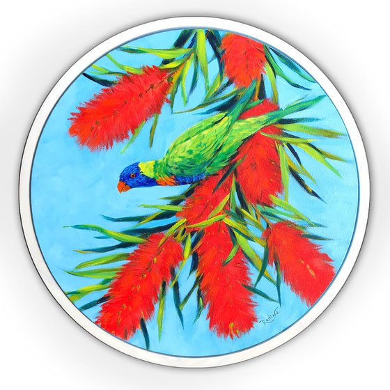 Rainbow Lorikeet in Blossoms