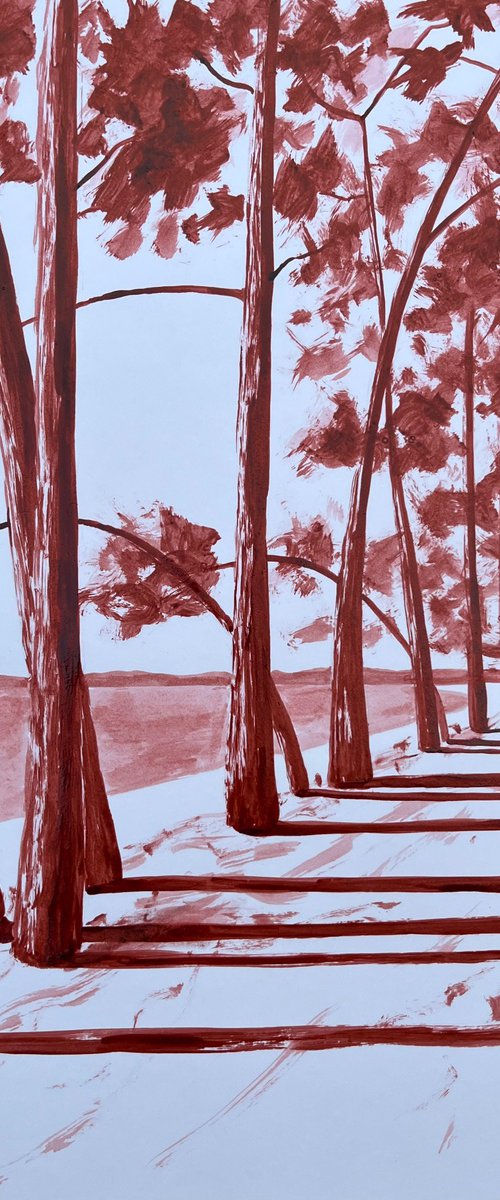 Cap Coz avenue by Cadiou Frederic