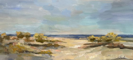 Sunshine Dunes