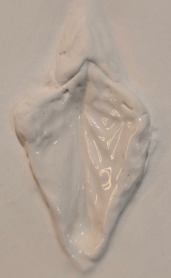 "Vulva Hypnotica XVIII"