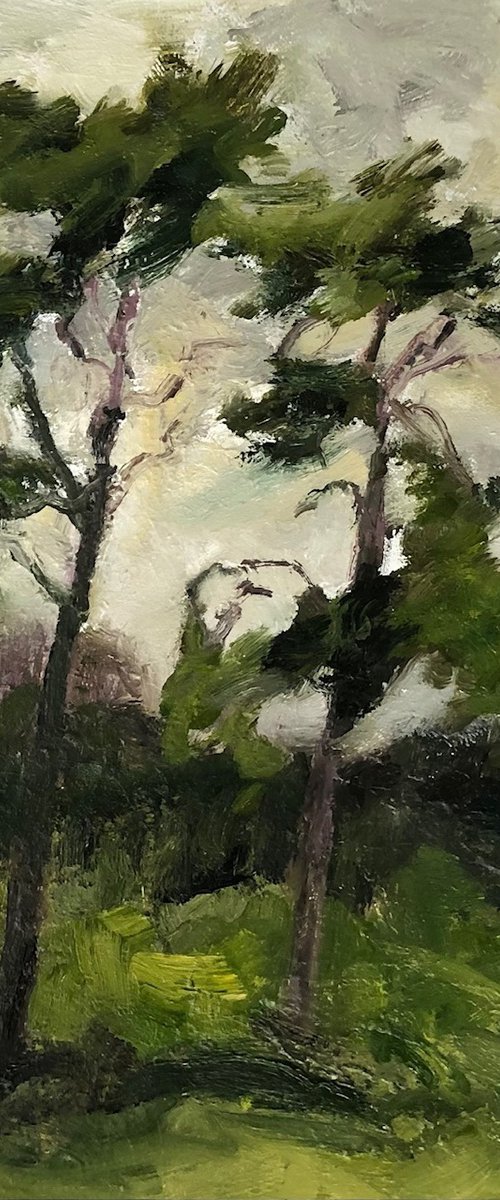 Two Pines by Joanna Farrow