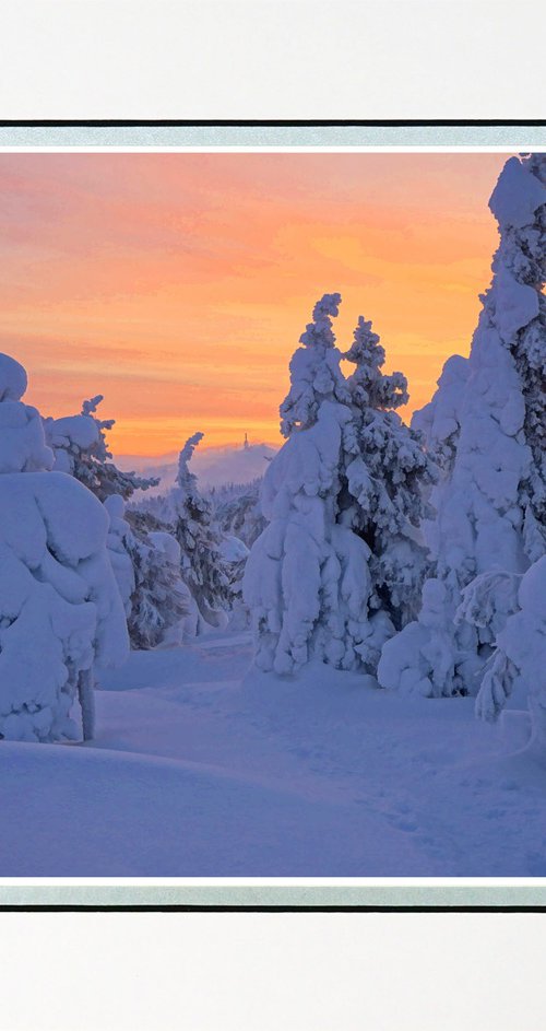 Finland Snow Forest eight by Robin Clarke