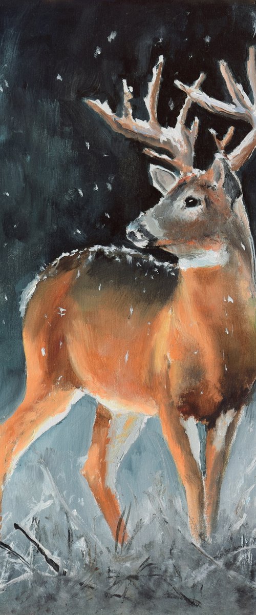 Male buck deer in snowy scene by Lucia Verdejo
