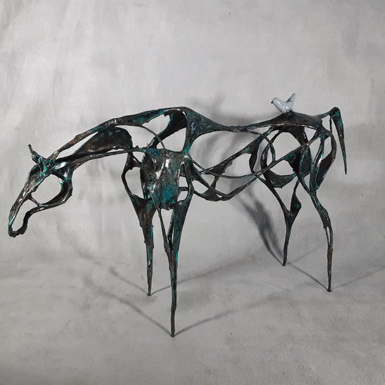 Horse and the Dove