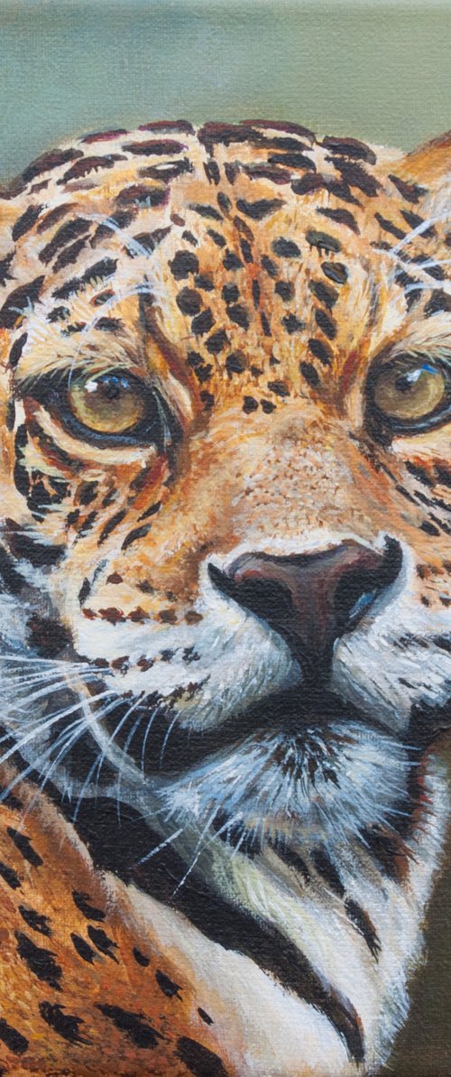 Jaguar by Norma Beatriz Zaro