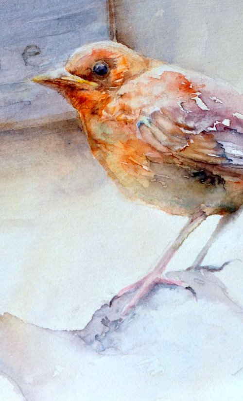 MOIRA. THE BLACKBIRD of D'une Île Frankrijk. original watercolour 20x30 by Beata van Wijngaarden