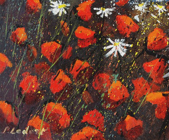 Red poppies