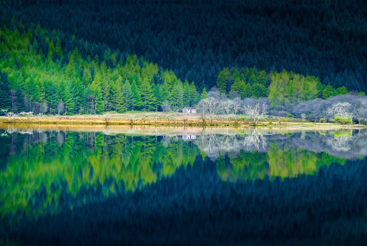 Tranquility at Loch Eck, Scottish Highlands by Lynne Douglas