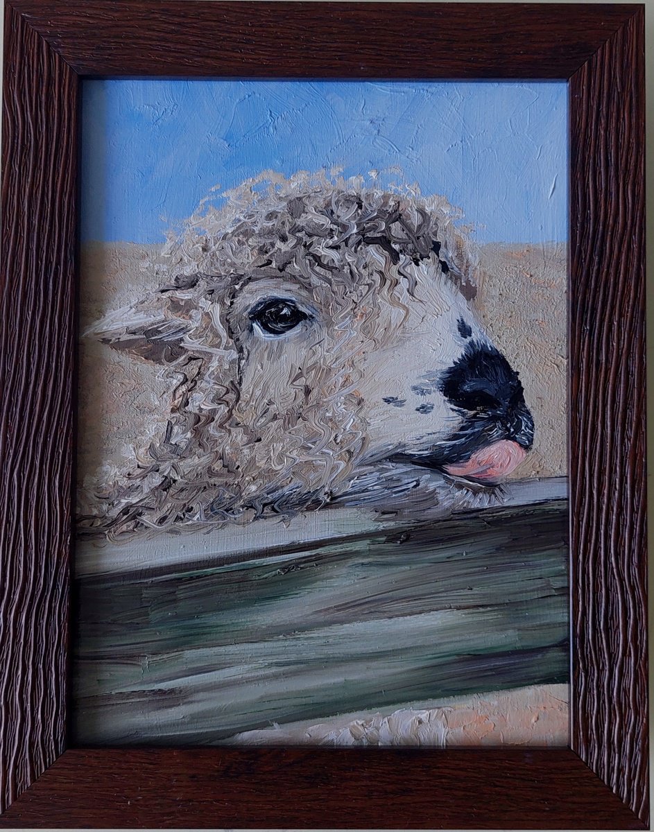 Funny Sheep by Ira Whittaker