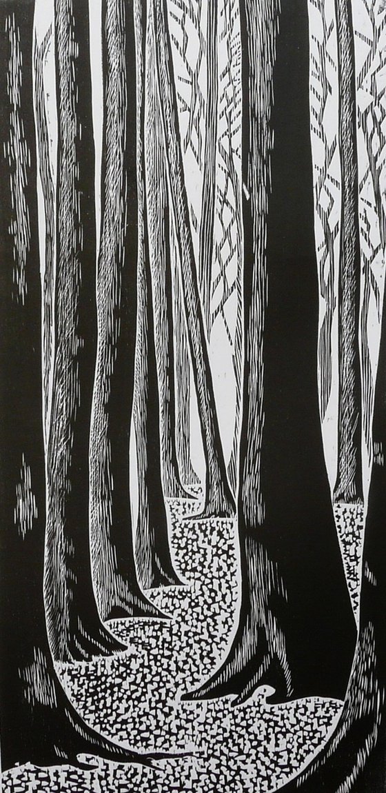 Silent Eucalyptus Grove