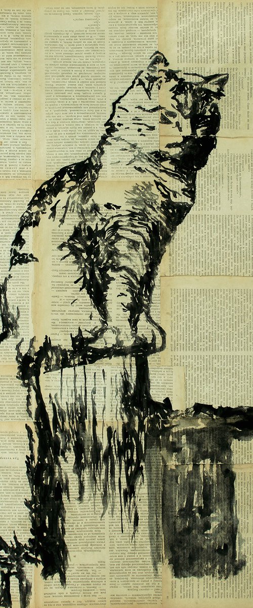 Cat. by Marat Cherny