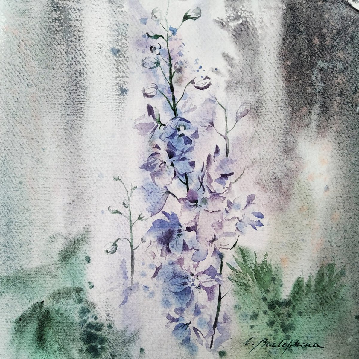 Delphinium Lilac by Olga Bezlepkina