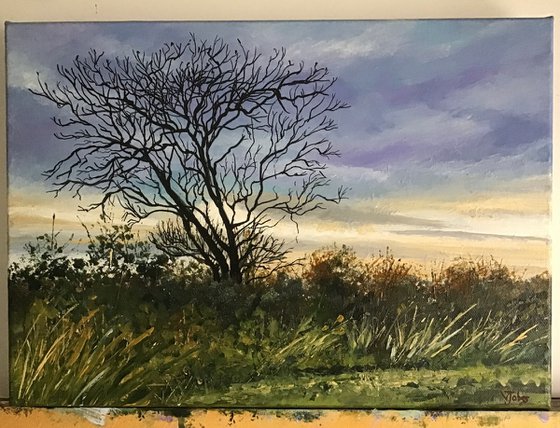 Winter Sunset