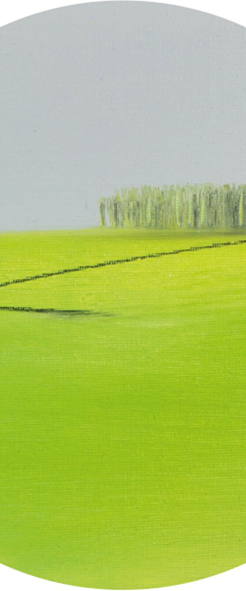 FELD A by Katrin Roth
