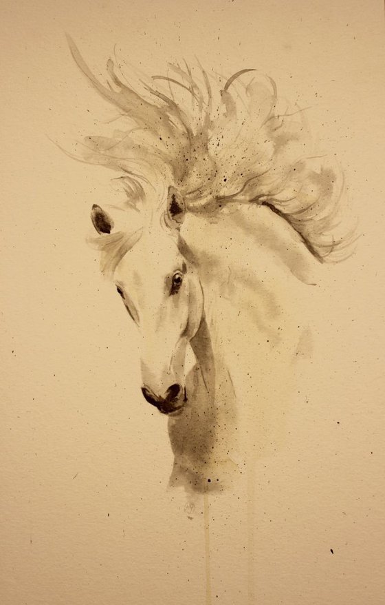 Horses Portrait 3.1