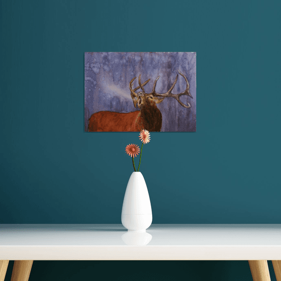 Deer