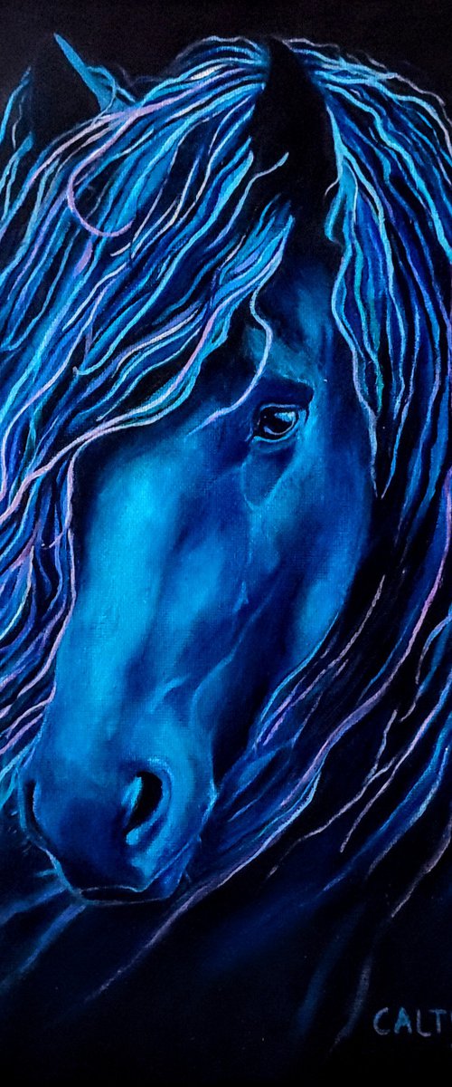 Blue Horse by Alison Caltrider