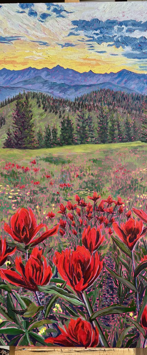 Scarlet Indian Paintbrush at Sunset by Zulfiya Mukhamadeyeva
