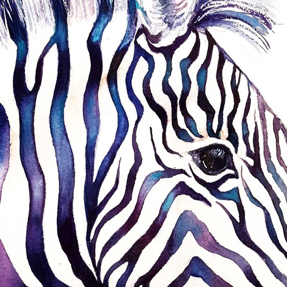Blue Shimmer _Zebra