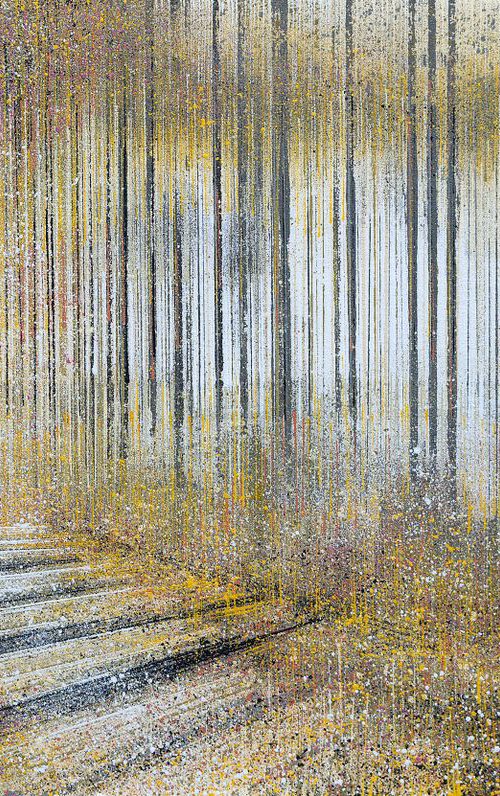Avenue Of Trees In Late Evening Light by Marc Todd